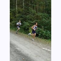 cc026 W into the forest.jpg 242.5K